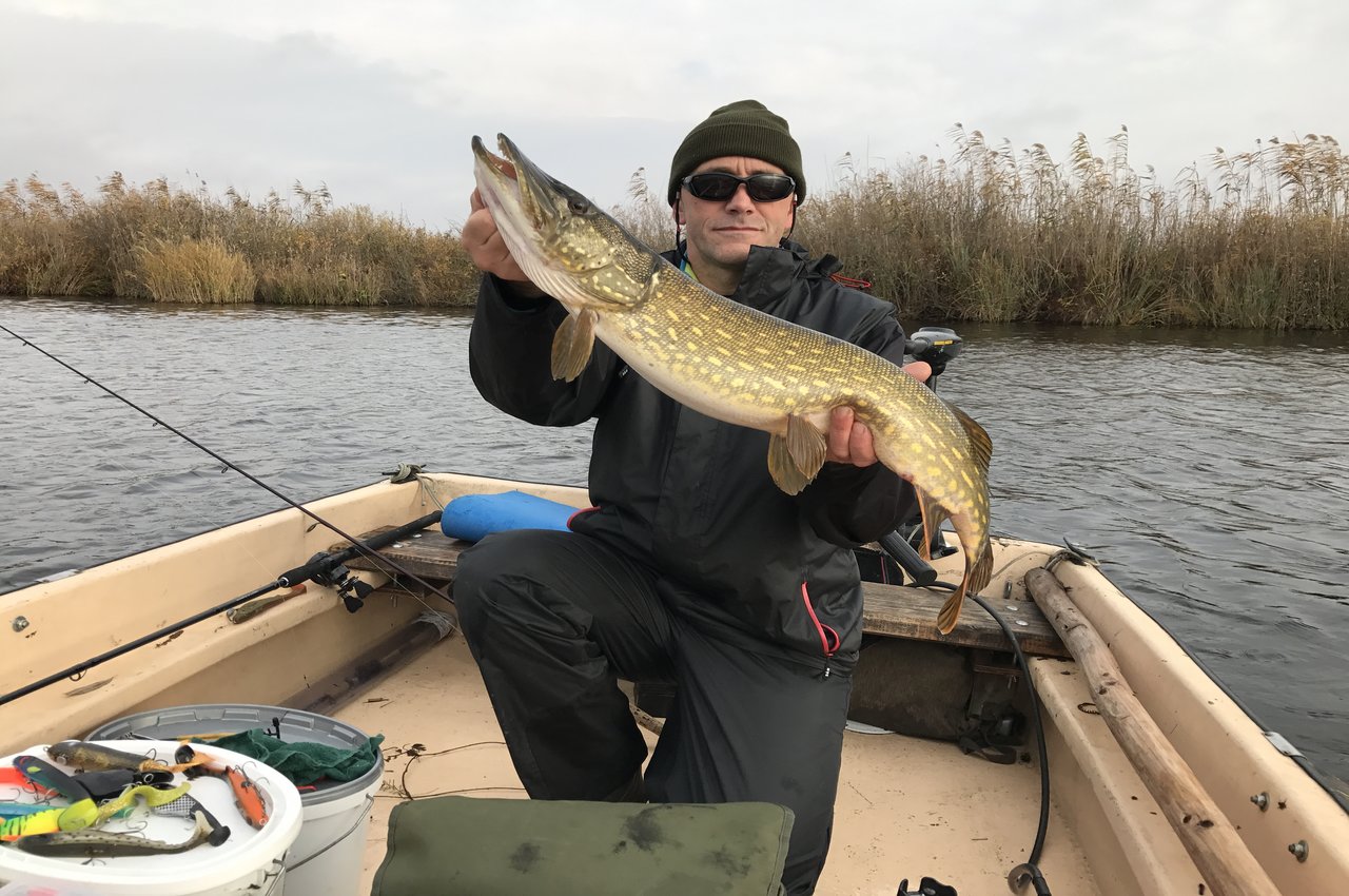 Go For Big Pike